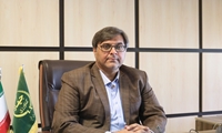 آغاز عملیات گرده افشانی نخیلات جنوب کرمان